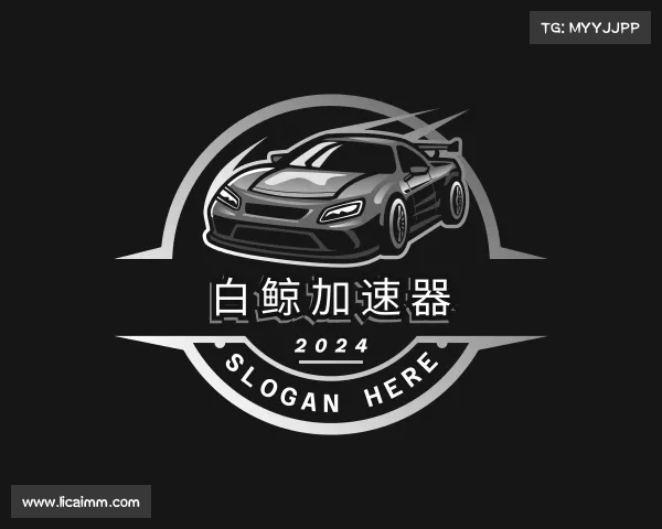 了解白鲸加速器